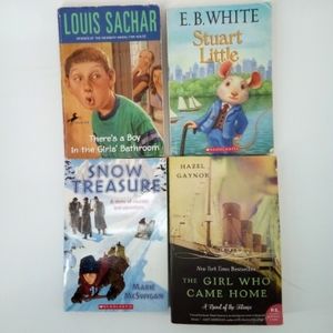 Chapter Books Bundle Homeschool School Scholastic